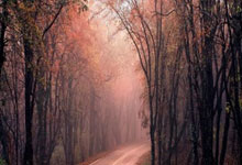 亚博-赛前迈阿密热火备战德甲；迎来里程碑细节曝光；媒体盛赞；球探报告显示潜力-亚博